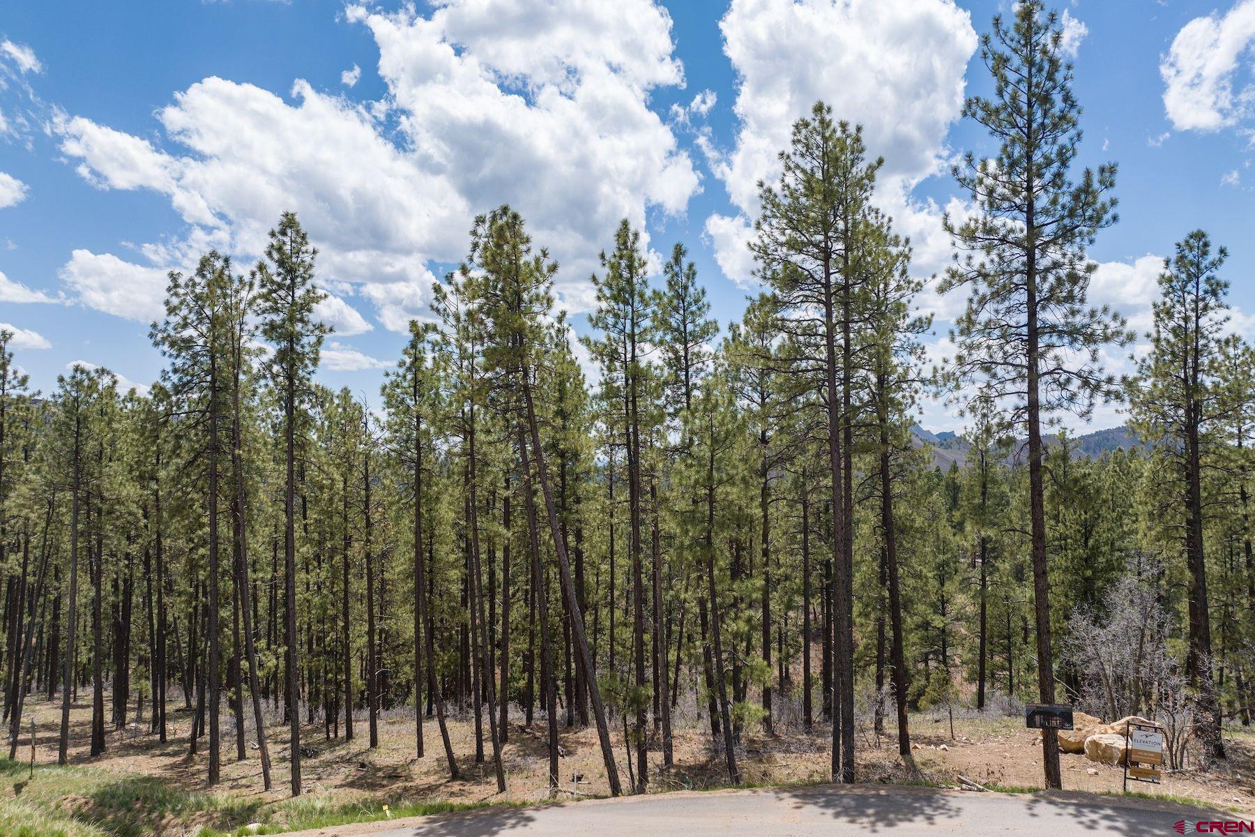 1091 Red Canyon Trail Durango, CO 81301 - Photo 2 of 24 a view of a yard with lots of palm trees