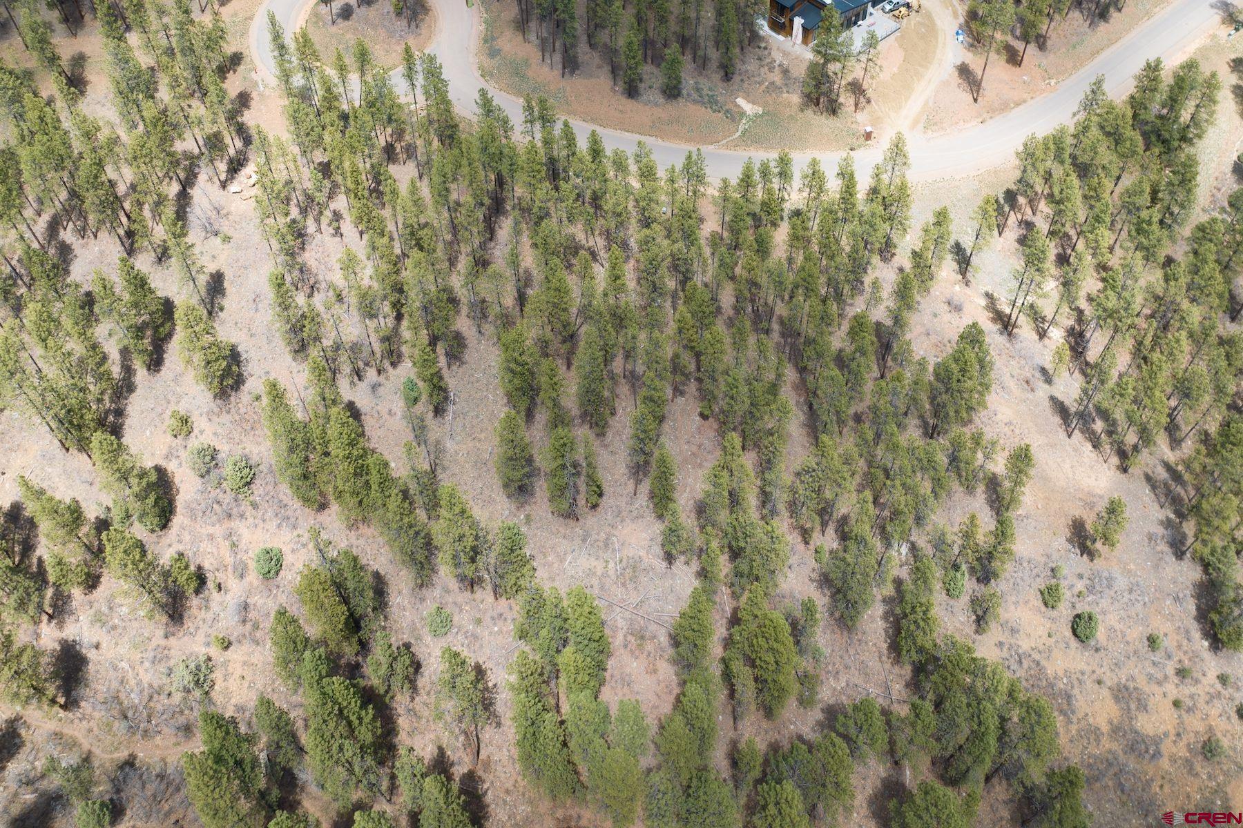1091 Red Canyon Trail Durango, CO 81301 - Photo 23 of 24 a view of a yard