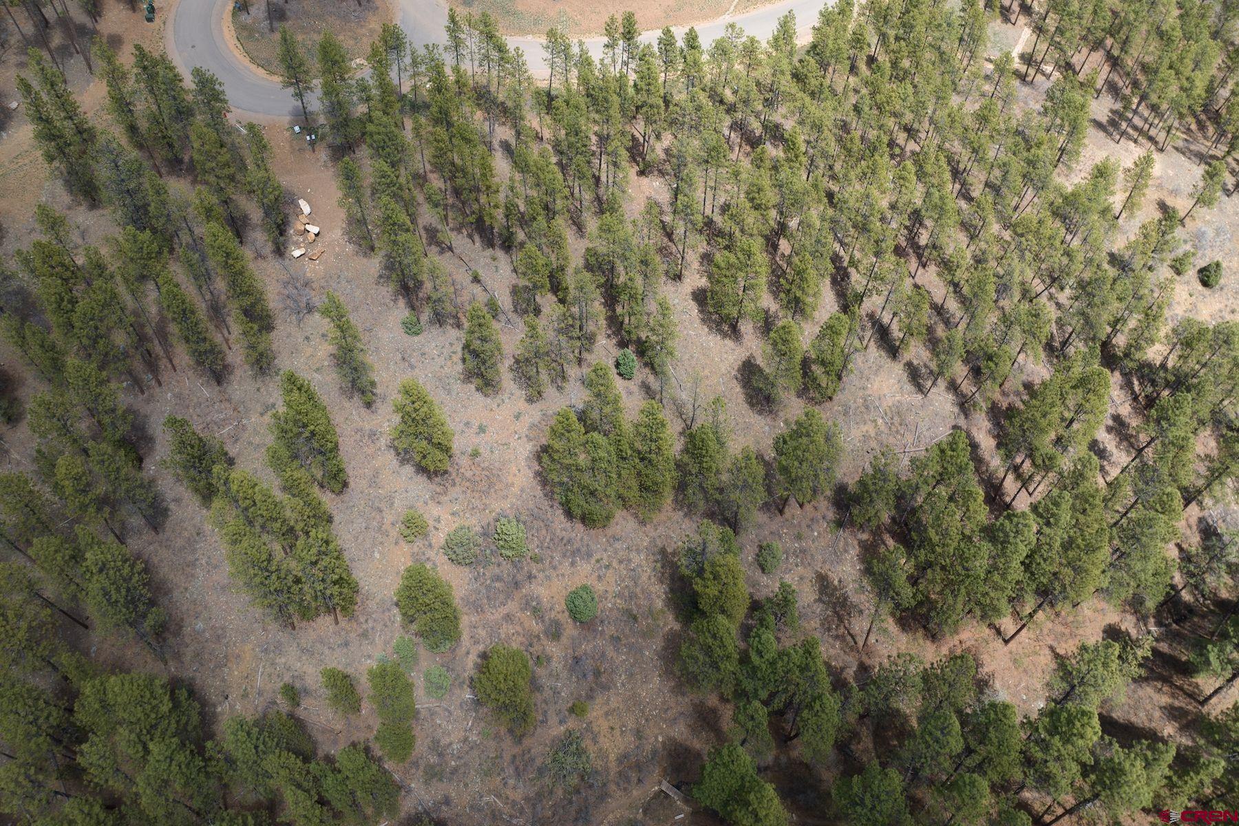 1091 Red Canyon Trail Durango, CO 81301 - Photo 24 of 24 a view of a forest with lush green forest