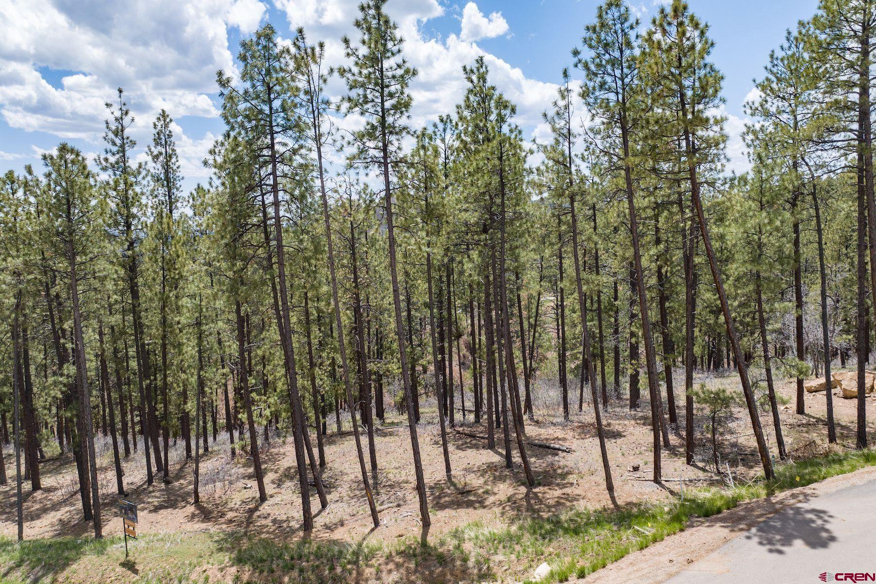 1091 Red Canyon Trail Durango, CO 81301 - Photo 3 of 24 a view of a forest
