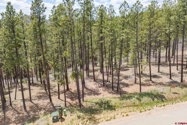 a view of outdoor space with garden