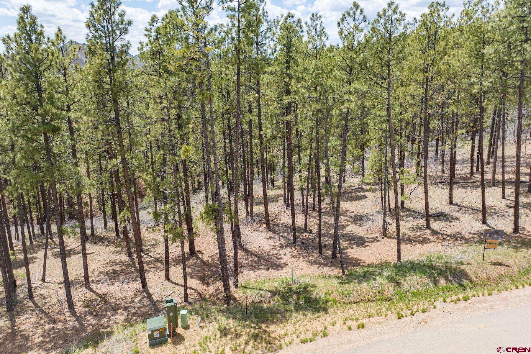 1091 Red Canyon Trail Durango, CO 81301 - Photo 6 of 24 a view of outdoor space with garden