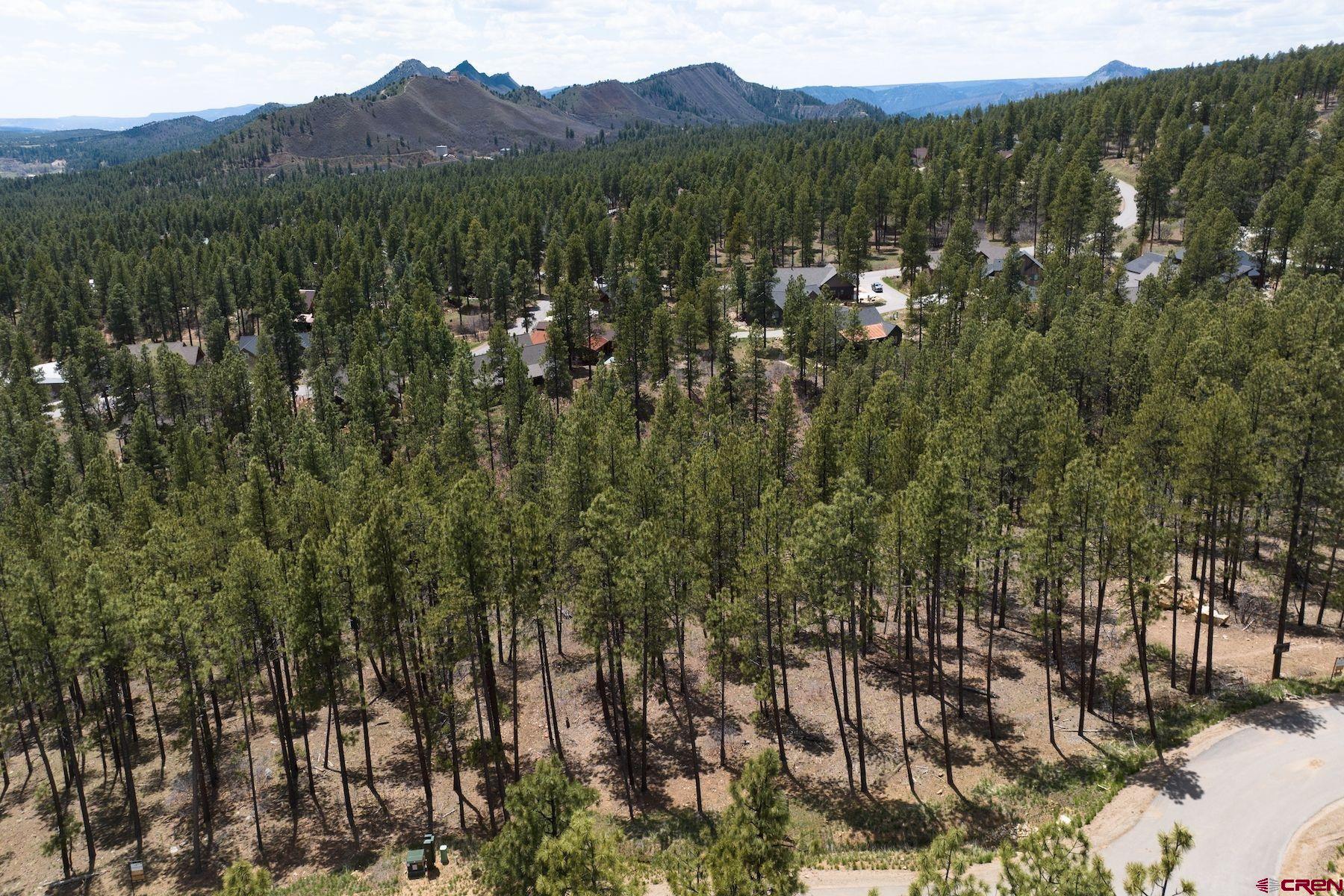 1091 Red Canyon Trail Durango, CO 81301 - Photo 8 of 24 a view of city and mountain