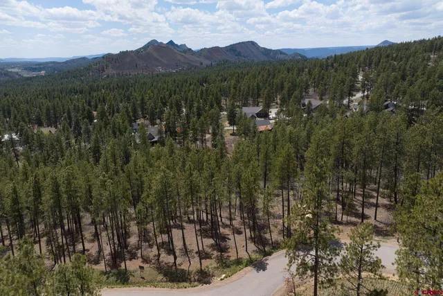 a view of a town with mountains in the background