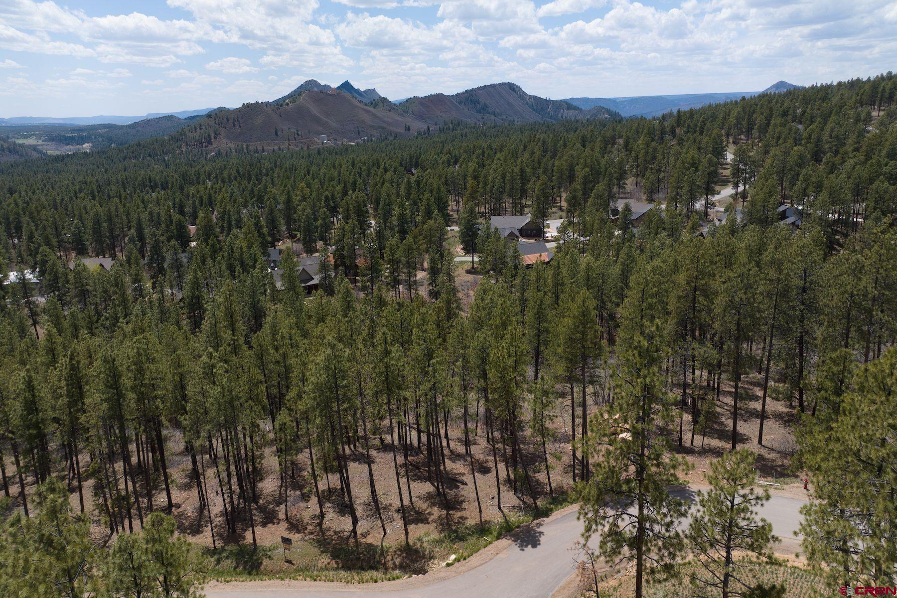 1091 Red Canyon Trail Durango, CO 81301 - Photo 10 of 24 a view of a town with mountains in the background