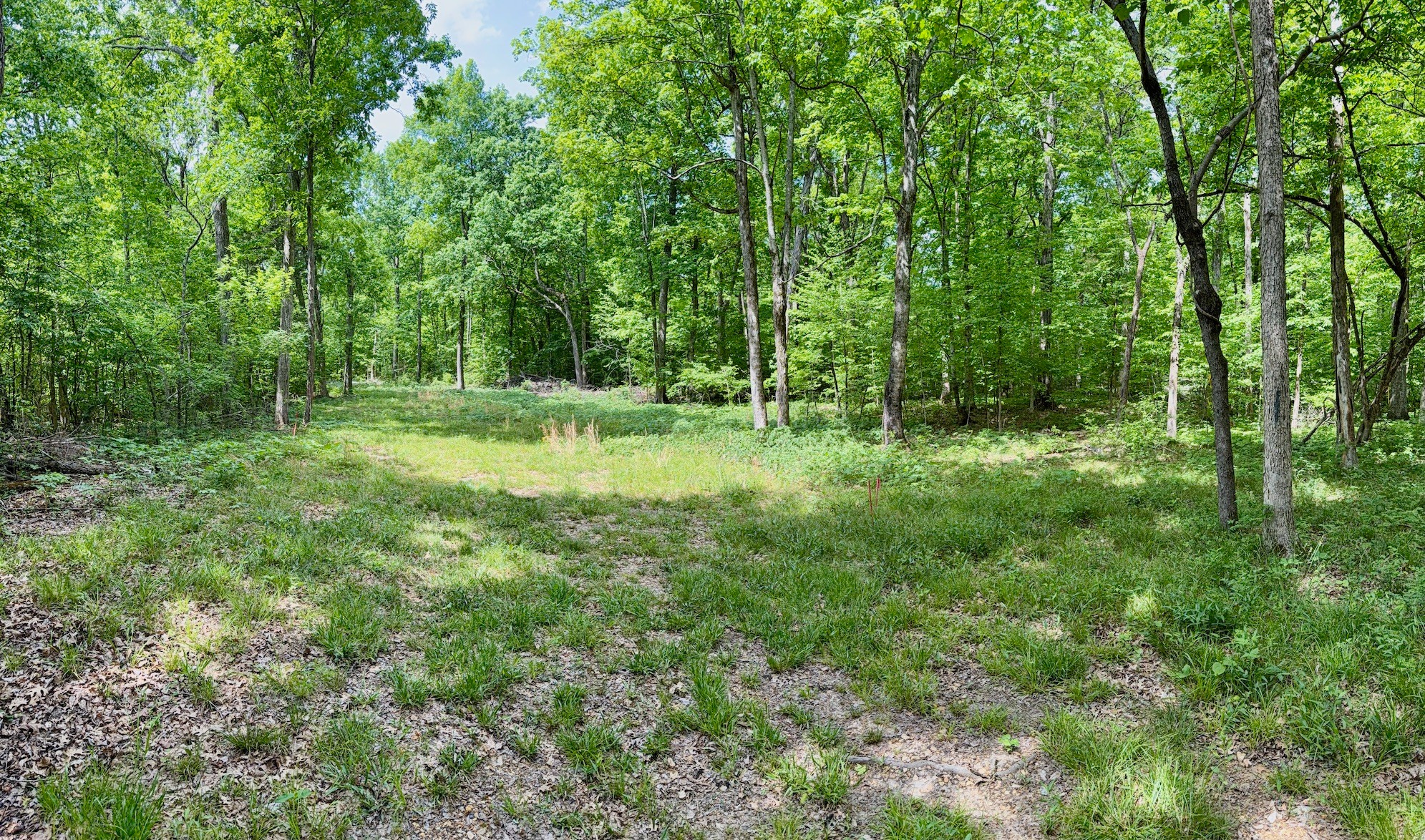 9346 Christiana Fosterville Road Christiana, TN 37037 - Photo 1 of 16