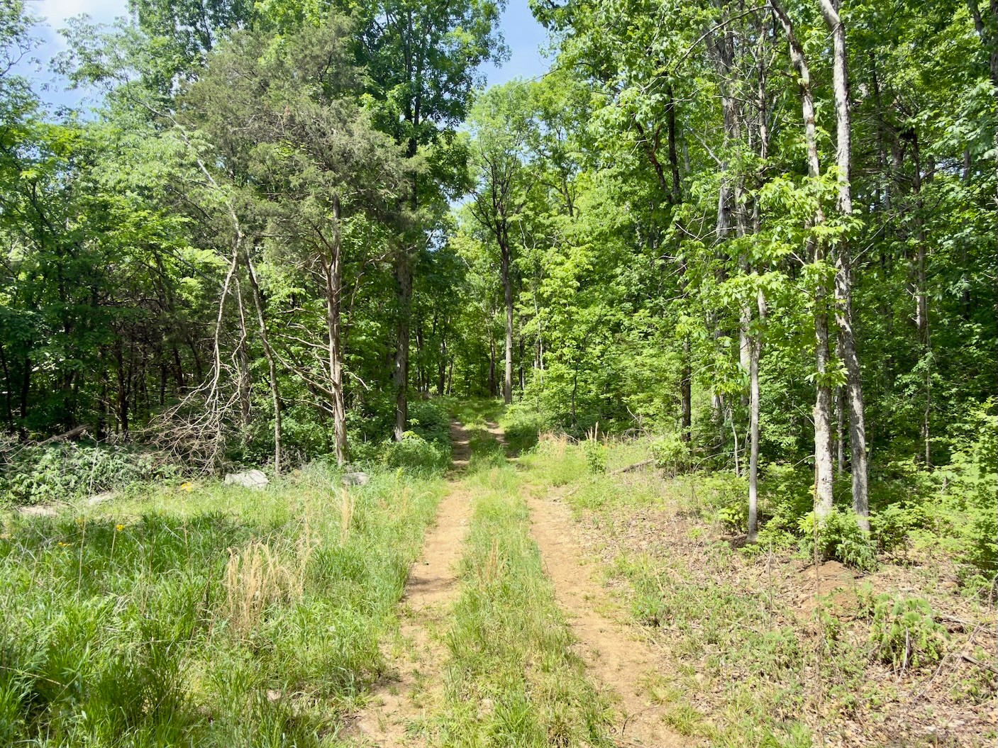 9346 Christiana Fosterville Road Christiana, TN 37037 - Photo 11 of 16