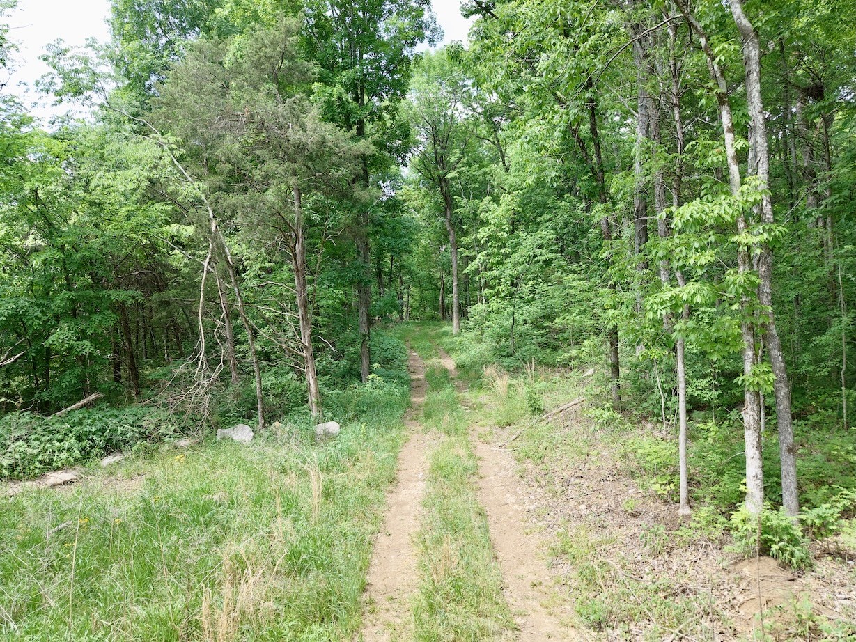 9346 Christiana Fosterville Road Christiana, TN 37037 - Photo 12 of 16