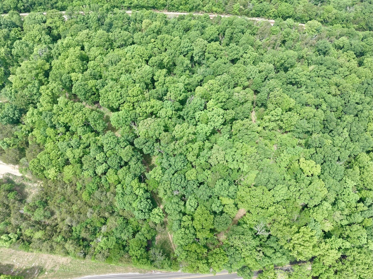 9346 Christiana Fosterville Road Christiana, TN 37037 - Photo 13 of 16