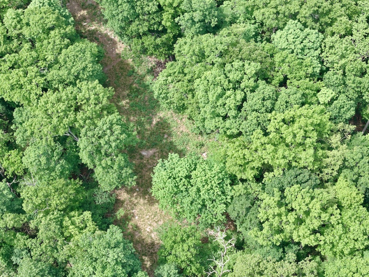 9346 Christiana Fosterville Road Christiana, TN 37037 - Photo 14 of 16