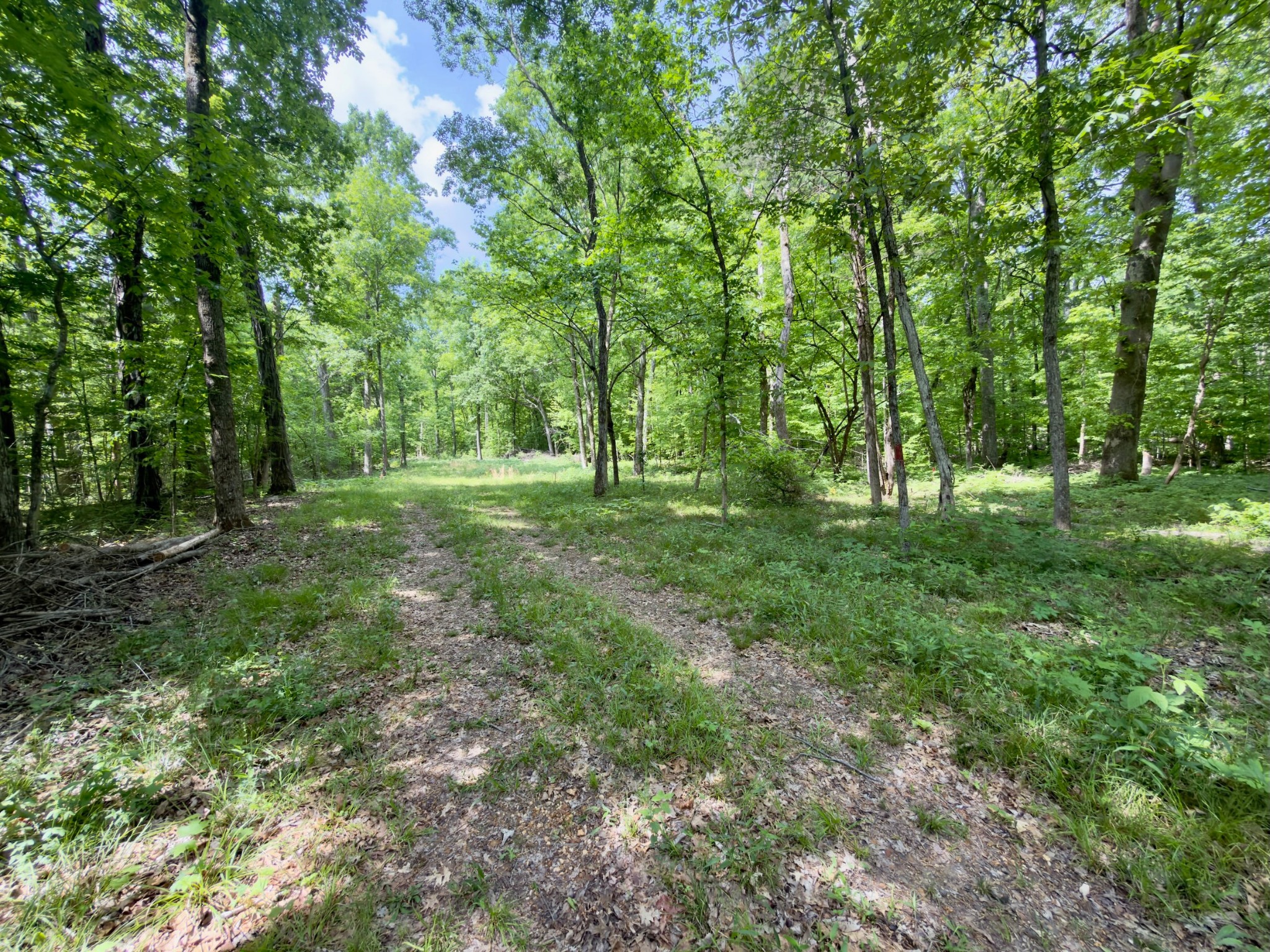 9346 Christiana Fosterville Road Christiana, TN 37037 - Photo 2 of 16