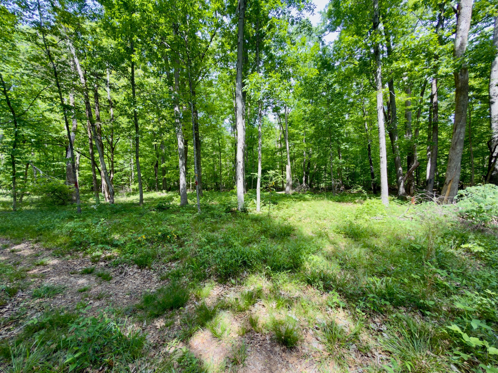 9346 Christiana Fosterville Road Christiana, TN 37037 - Photo 3 of 16