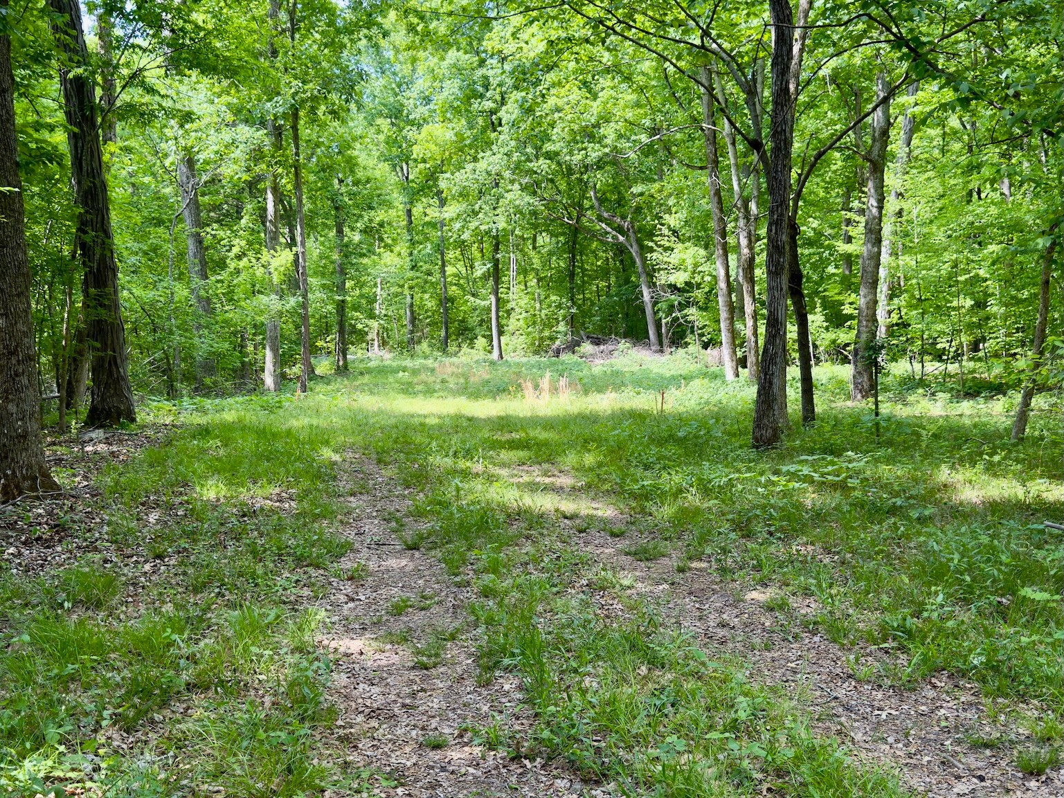 9346 Christiana Fosterville Road Christiana, TN 37037 - Photo 4 of 16