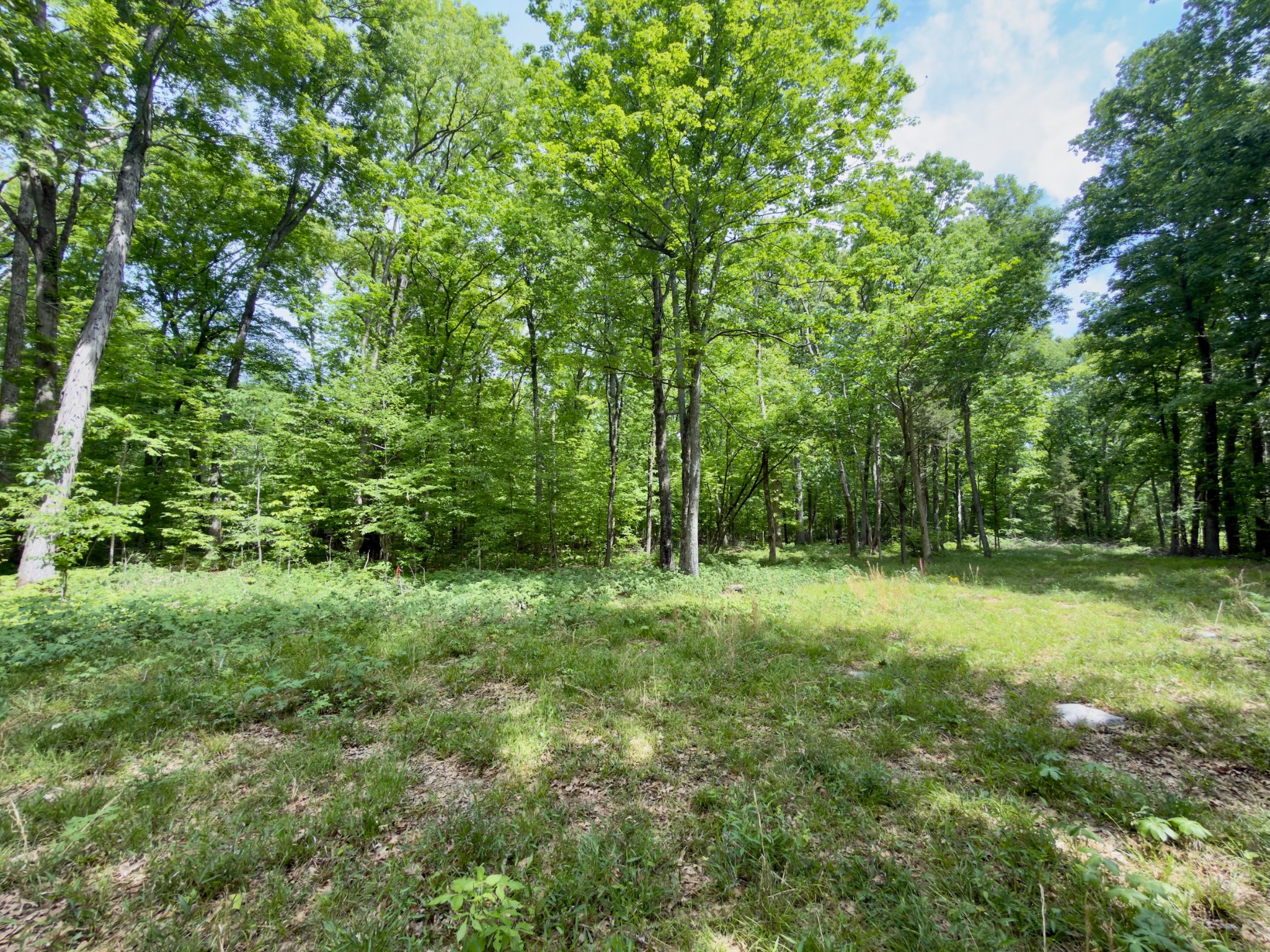 9346 Christiana Fosterville Road Christiana, TN 37037 - Photo 5 of 16