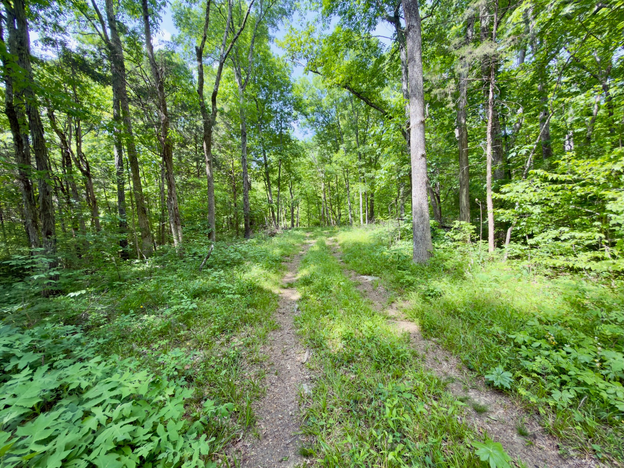 9346 Christiana Fosterville Road Christiana, TN 37037 - Photo 6 of 16