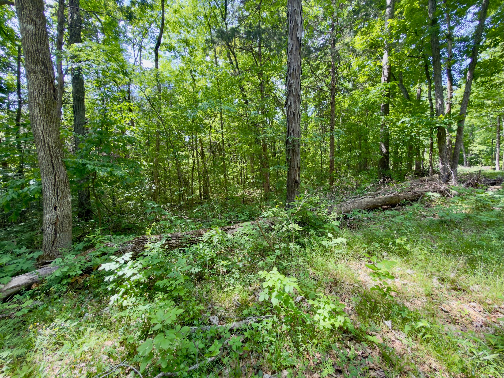 9346 Christiana Fosterville Road Christiana, TN 37037 - Photo 8 of 16