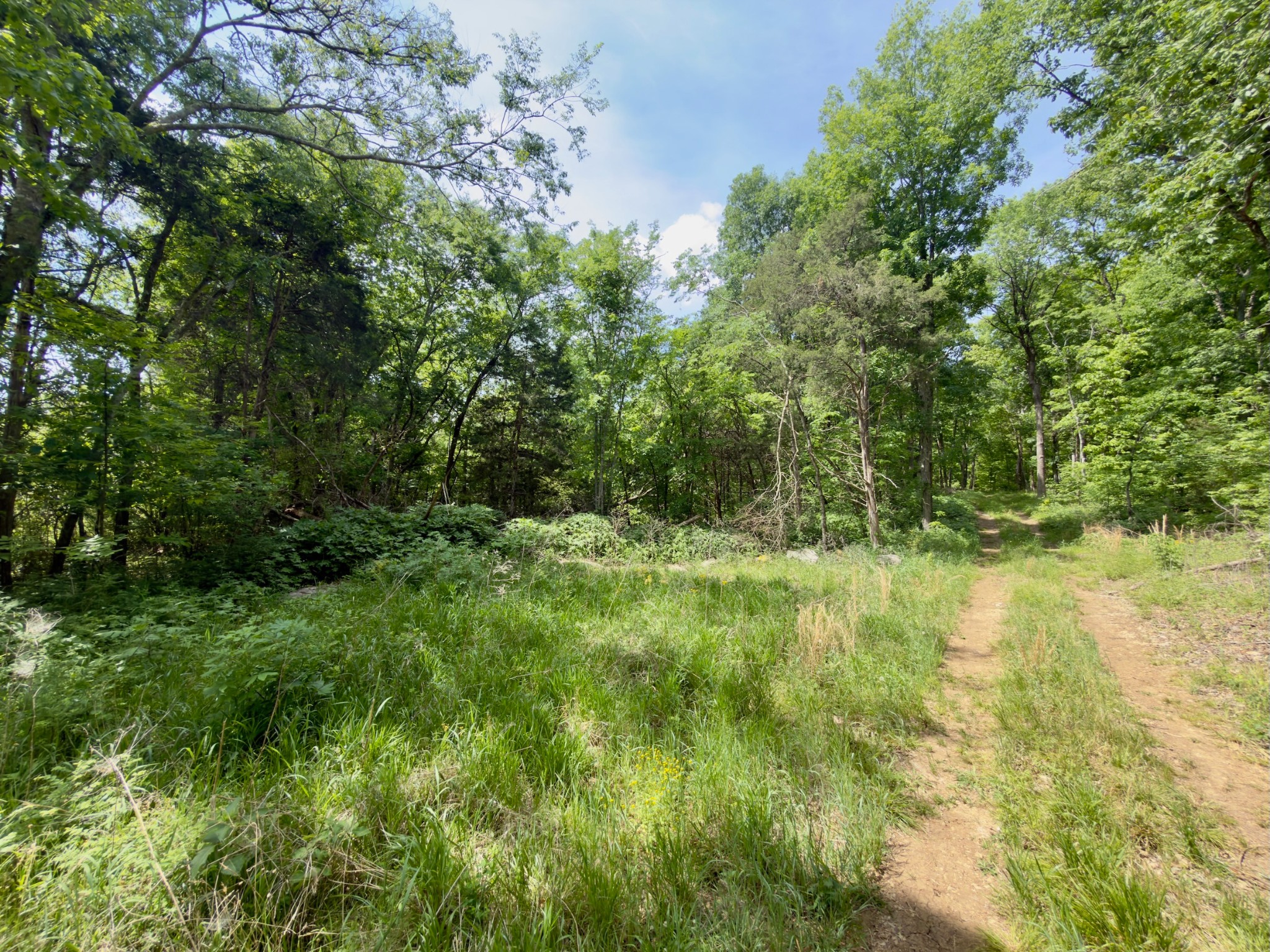9346 Christiana Fosterville Road Christiana, TN 37037 - Photo 9 of 16