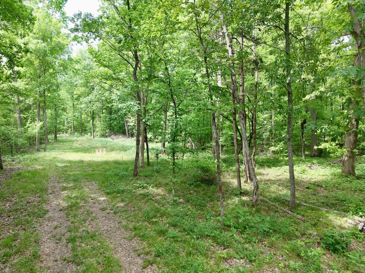 9346 Christiana Fosterville Road Christiana, TN 37037 - Photo 10 of 16