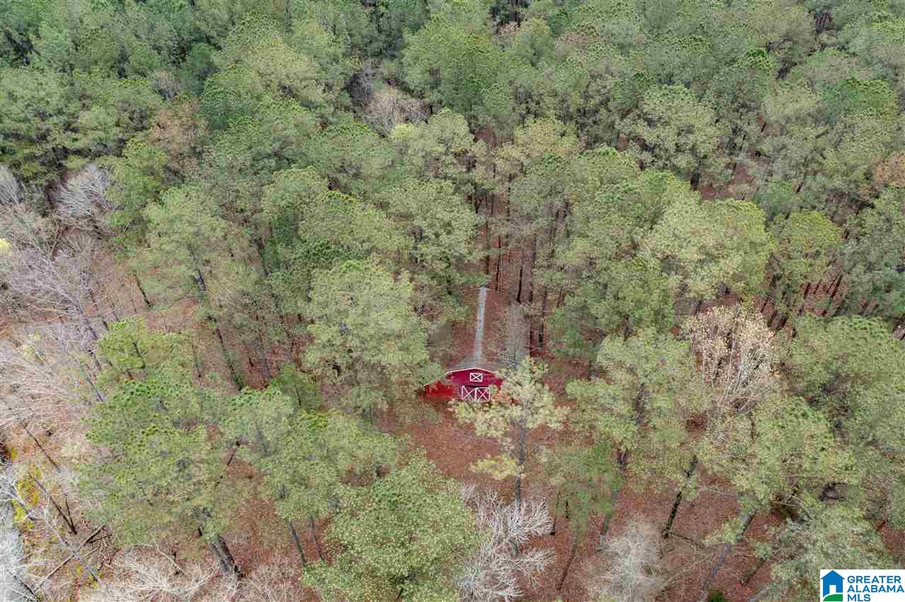 6150 Chelsea Road Columbiana, AL 35051 - Photo 49 of 50