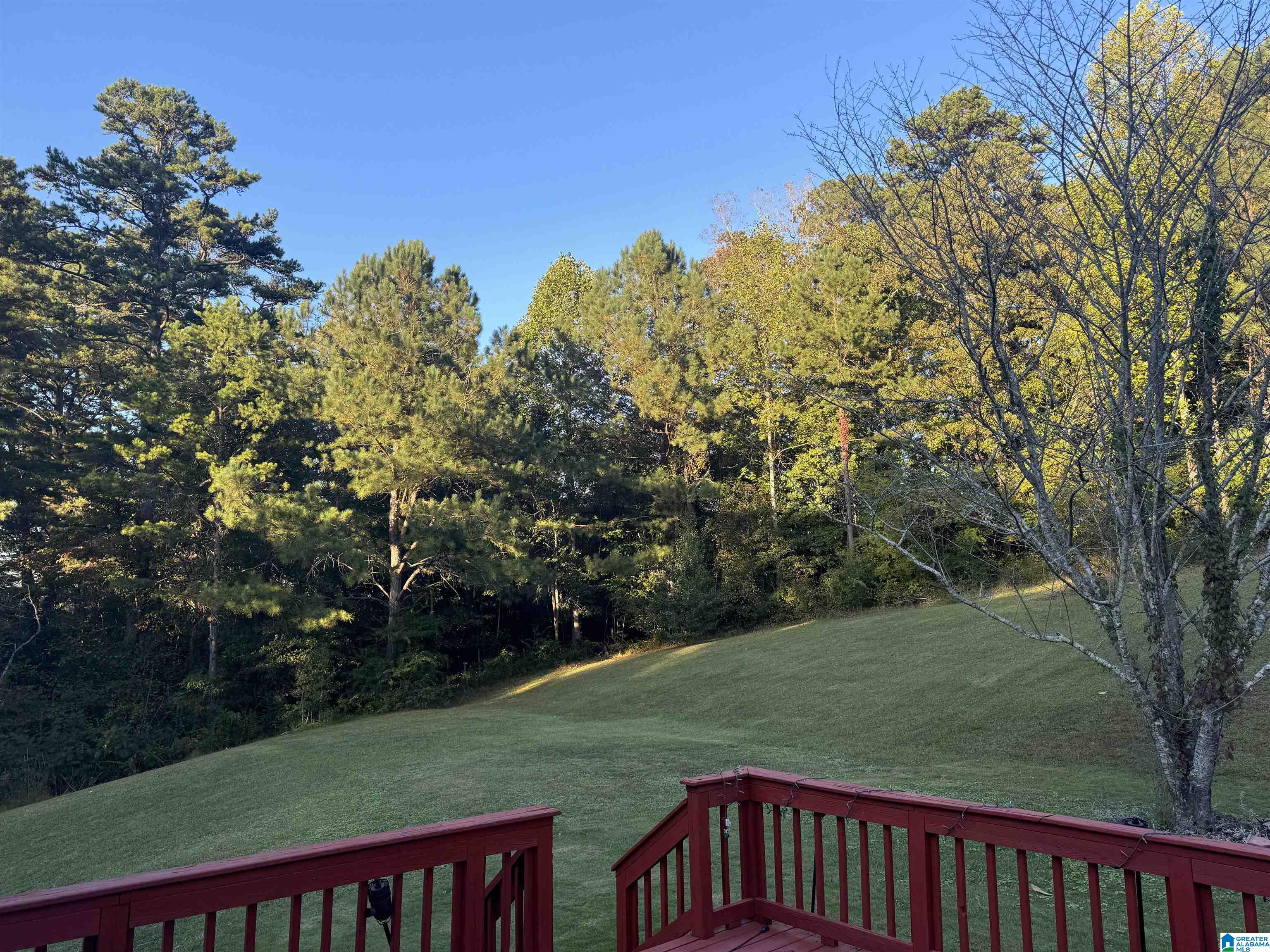 150 Ross Street Heflin, AL 36264 - Photo 11 of 86