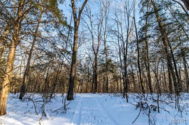 $4,084,000 | 0 Talley Road, Hartsburg, MO 65039