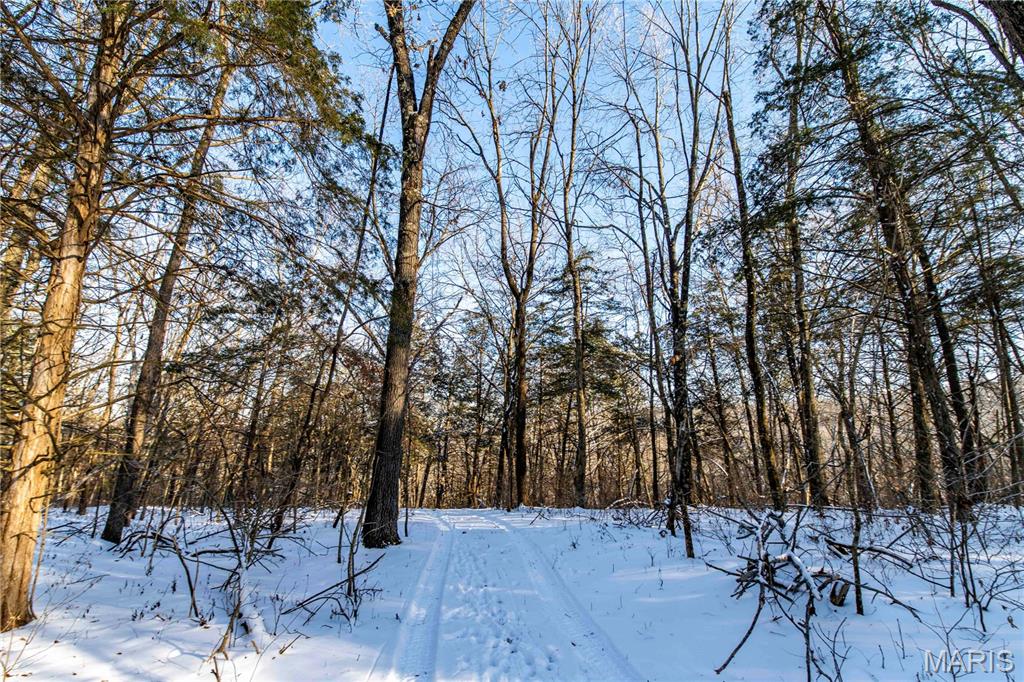 0 Talley Road Hartsburg, MO 65039 - Photo 26 of 30