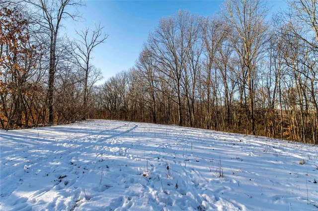 $4,084,000 | 0 Talley Road, Hartsburg, MO 65039