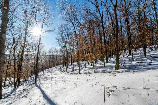 $4,084,000 | 0 Talley Road, Hartsburg, MO 65039