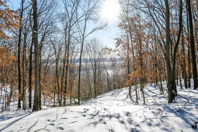 $4,084,000 | 0 Talley Road, Hartsburg, MO 65039