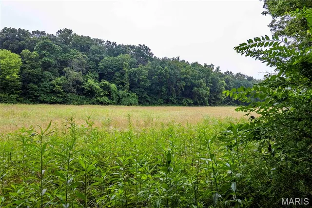 $4,084,000 | 0 Talley Road, Hartsburg, MO 65039