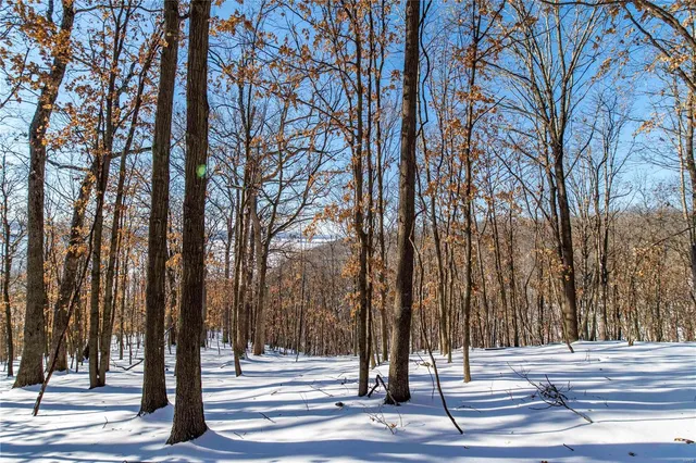 $4,084,000 | 0 Talley Road, Hartsburg, MO 65039