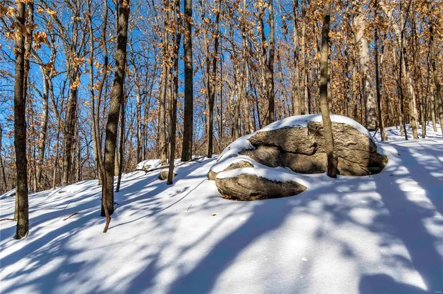 $4,084,000 | 0 Talley Road, Hartsburg, MO 65039