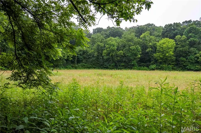 $4,084,000 | 0 Talley Road, Hartsburg, MO 65039