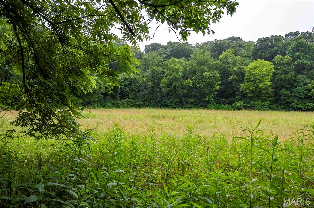 0 Talley Road Hartsburg, MO 65039 - Photo 5 of 30