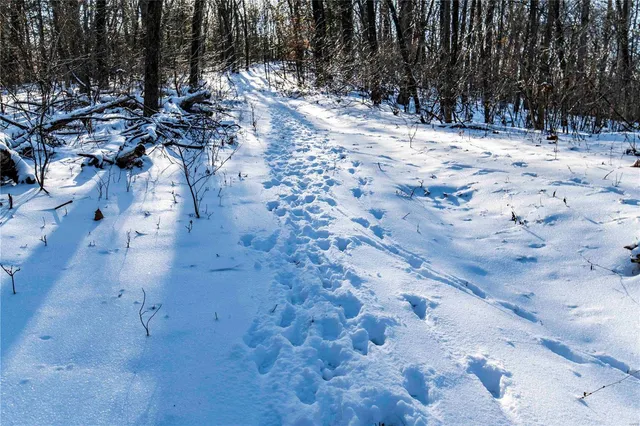 $4,084,000 | 0 Talley Road, Hartsburg, MO 65039