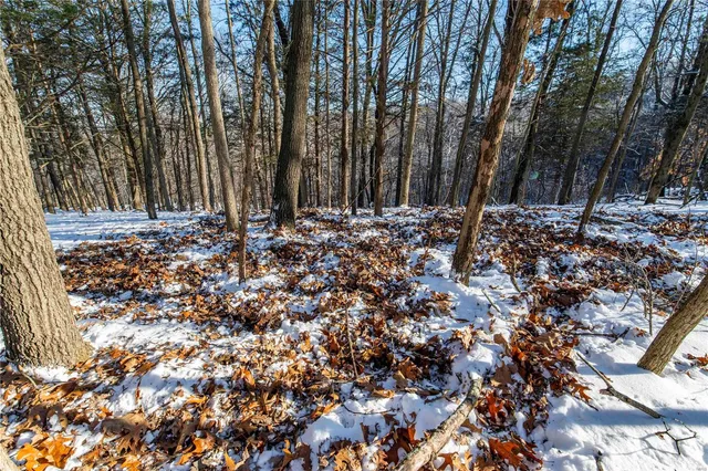 $4,084,000 | 0 Talley Road, Hartsburg, MO 65039