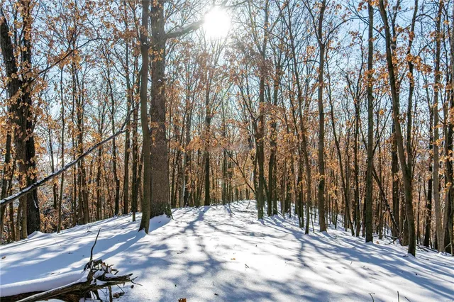 $4,084,000 | 0 Talley Road, Hartsburg, MO 65039