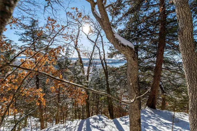 $4,084,000 | 0 Talley Road, Hartsburg, MO 65039