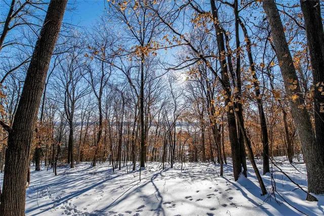 $4,084,000 | 0 Talley Road, Hartsburg, MO 65039