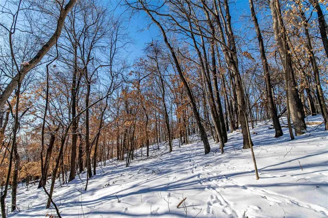 $4,084,000 | 0 Talley Road, Hartsburg, MO 65039