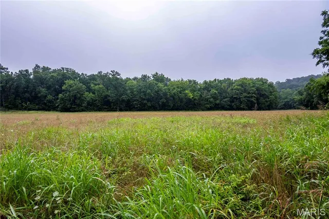 $4,084,000 | 0 Talley Road, Hartsburg, MO 65039