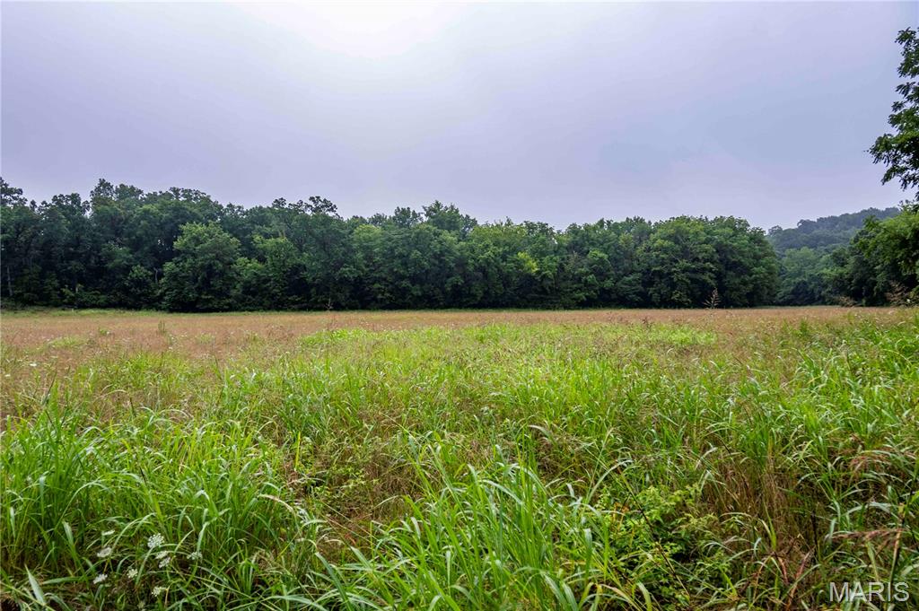 0 Talley Road Hartsburg, MO 65039 - Photo 9 of 30