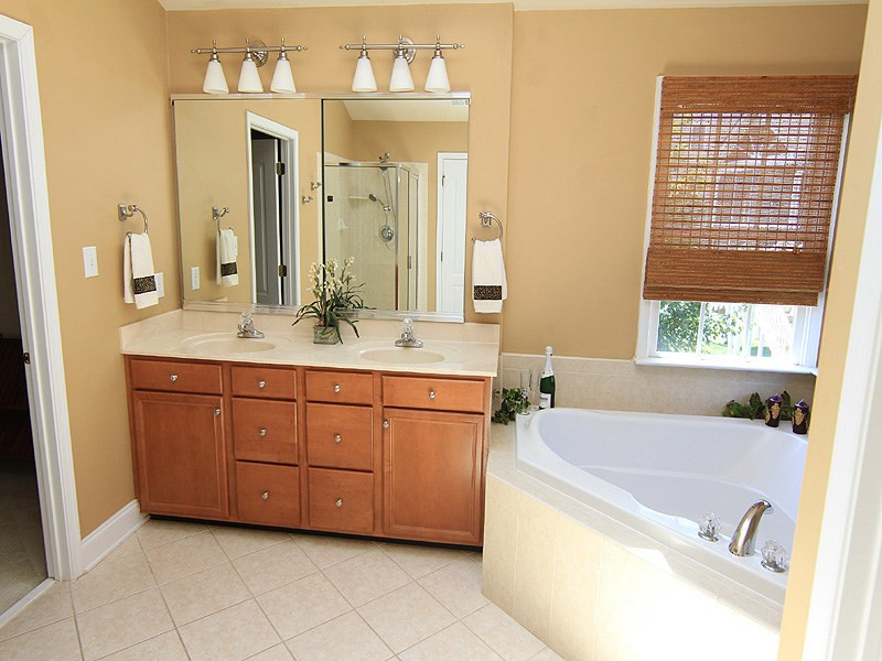 9205 Meadow Mist Court Raleigh, NC 27617 - Photo 20 of 25 Elegant master spa w/double sink your private retreat Master Bath/Spa