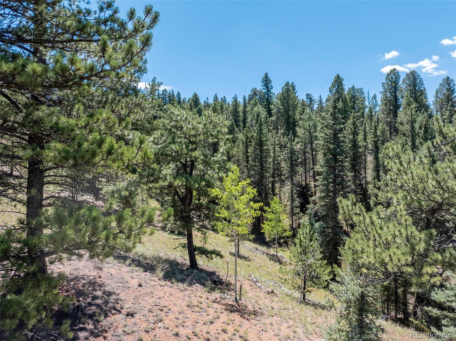 1676 Pathfinder Road Florissant, CO 80816 - Photo 22 of 32 Gallery Image 22
