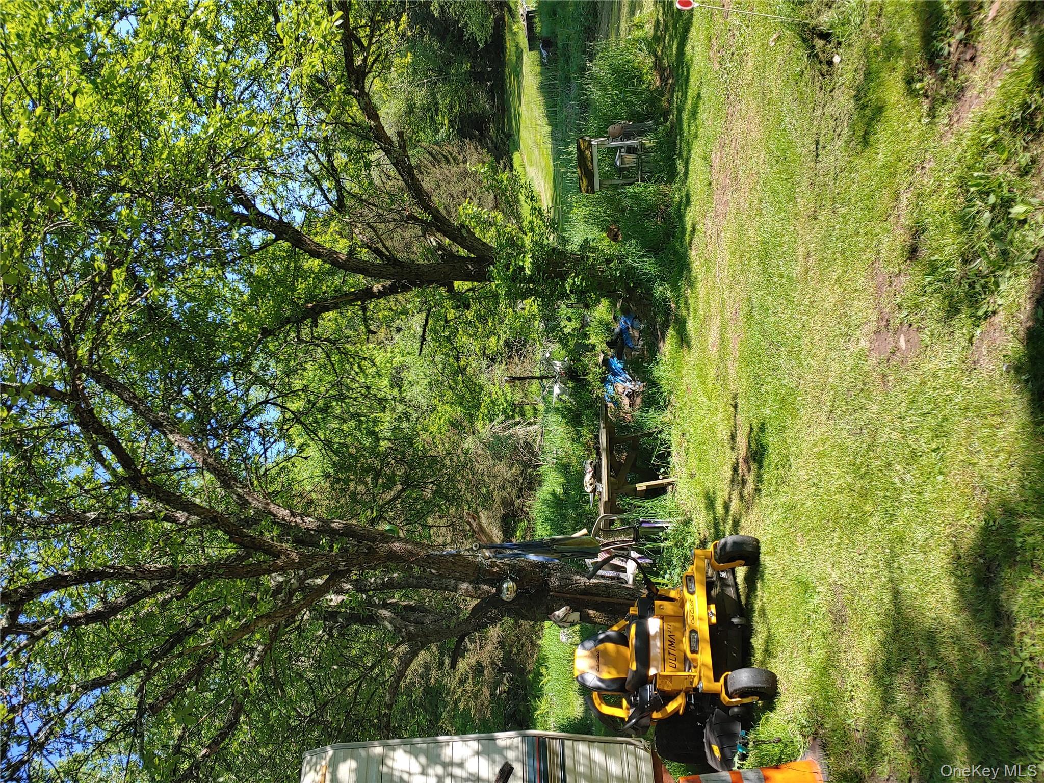 834 Cooley Road Parksville, NY 12768 - Photo 14 of 28 a view of a garden with lawn chairs