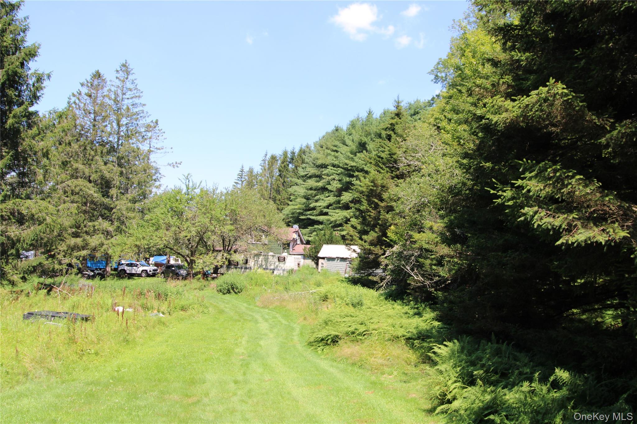 834 Cooley Road Parksville, NY 12768 - Photo 16 of 28 a view of a garden with an trees