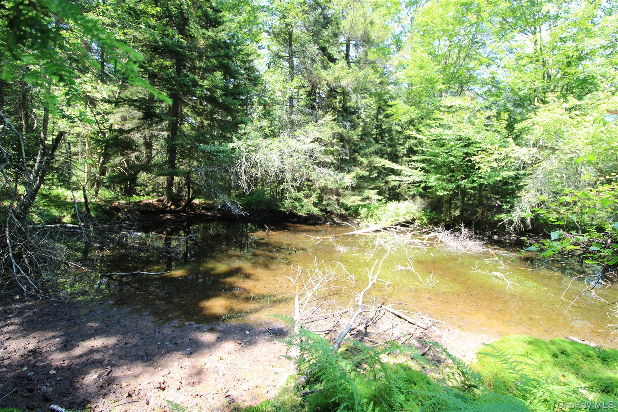 834 Cooley Road Parksville, NY 12768 - Photo 19 of 28 a view of an ocean from a yard