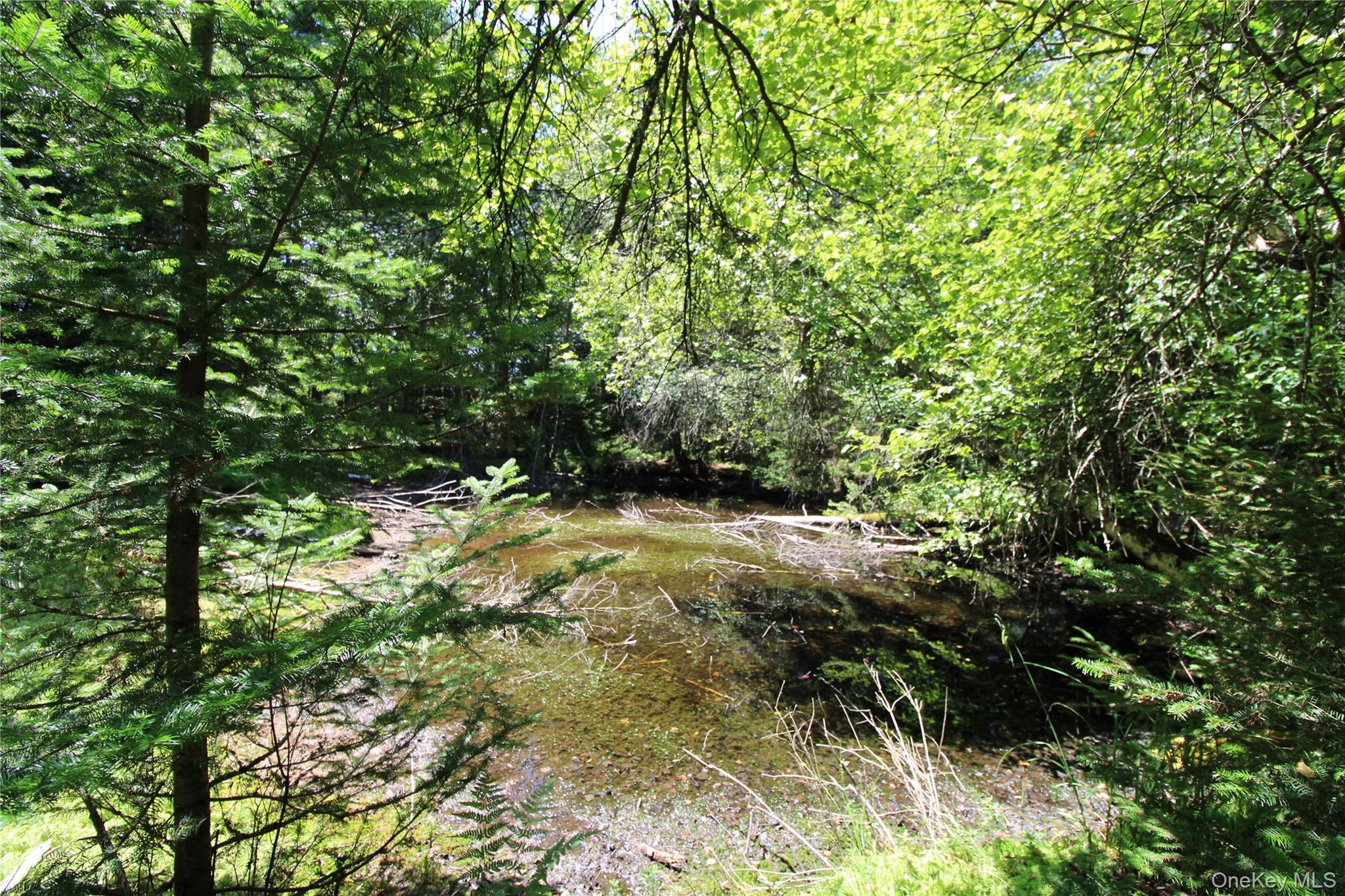 834 Cooley Road Parksville, NY 12768 - Photo 21 of 28 a view of outdoor space and a yard