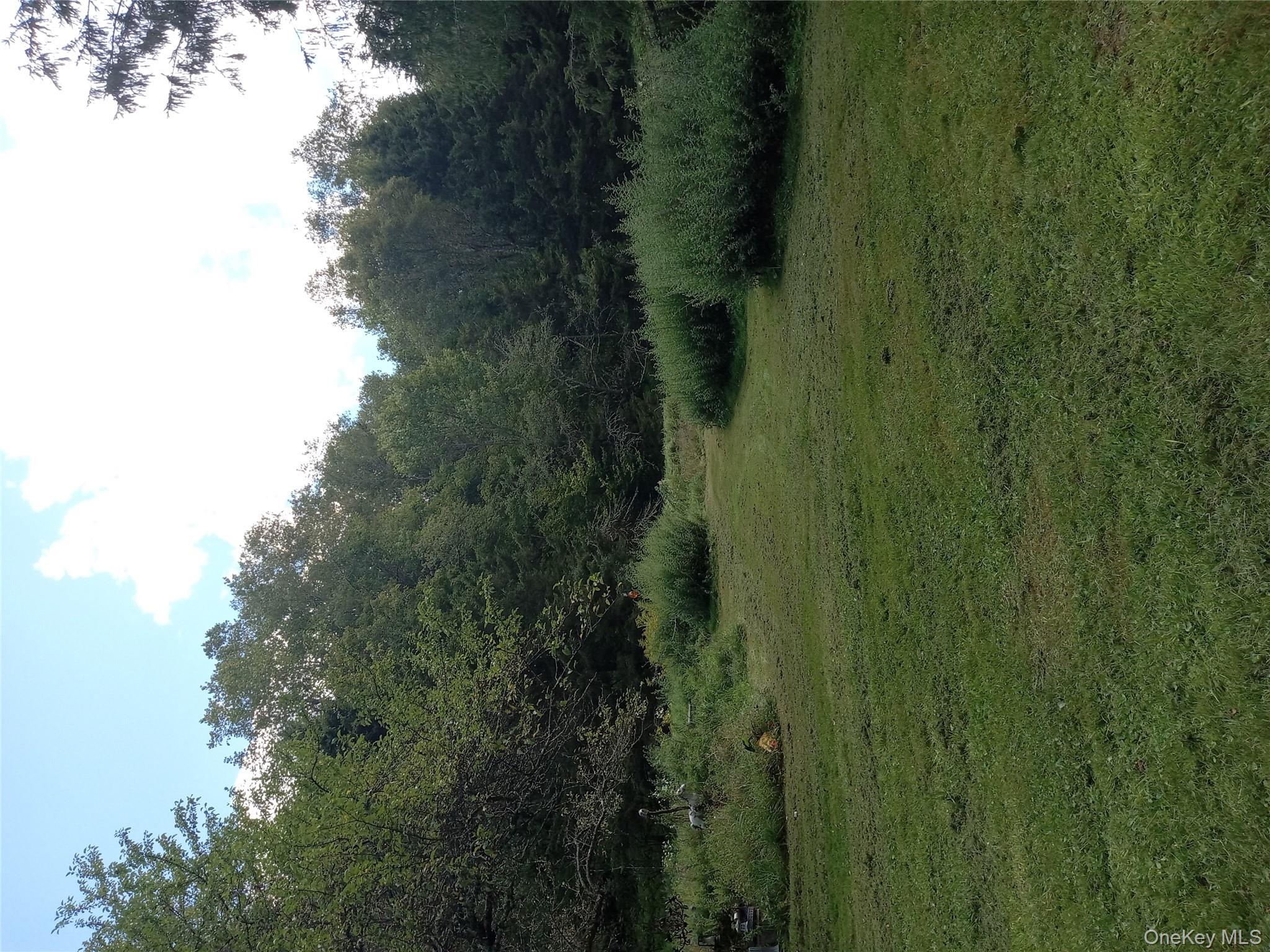 834 Cooley Road Parksville, NY 12768 - Photo 23 of 28 a view of a grassy field with trees