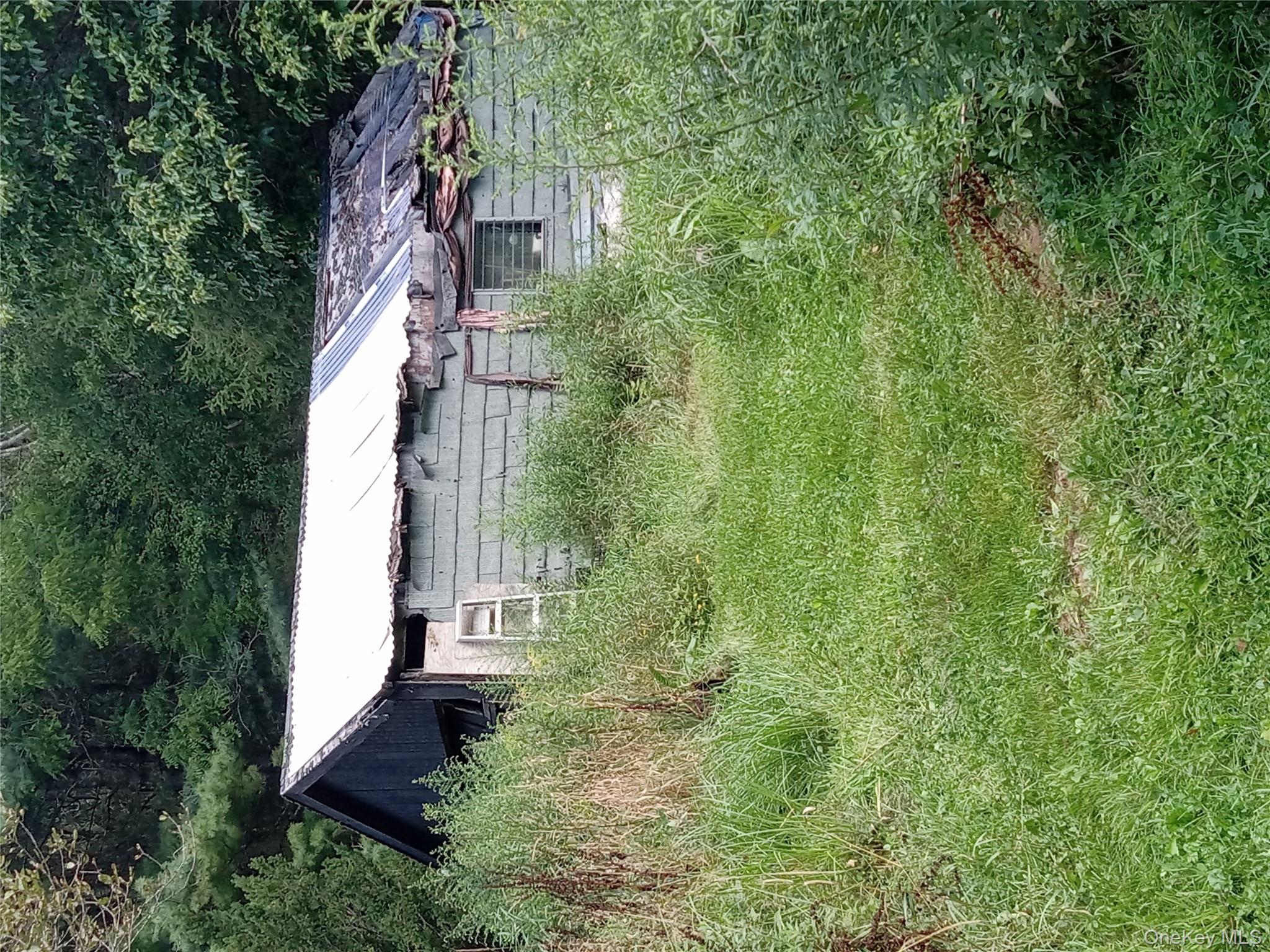 834 Cooley Road Parksville, NY 12768 - Photo 27 of 28 a view of a backyard with plants and lake